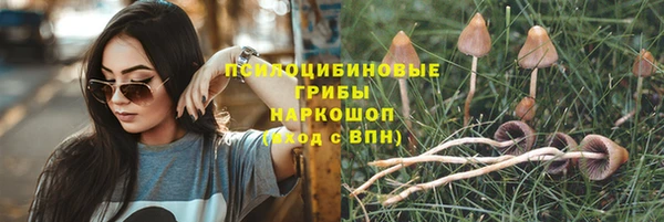 крисы Аркадак
