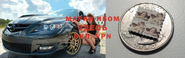 крисы Аркадак