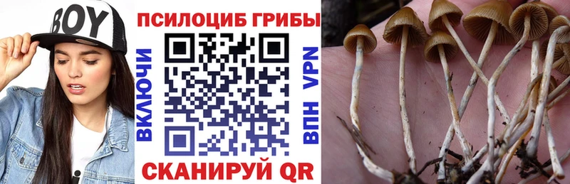 Галлюциногенные грибы ЛСД  как найти   OMG как войти  Урень 